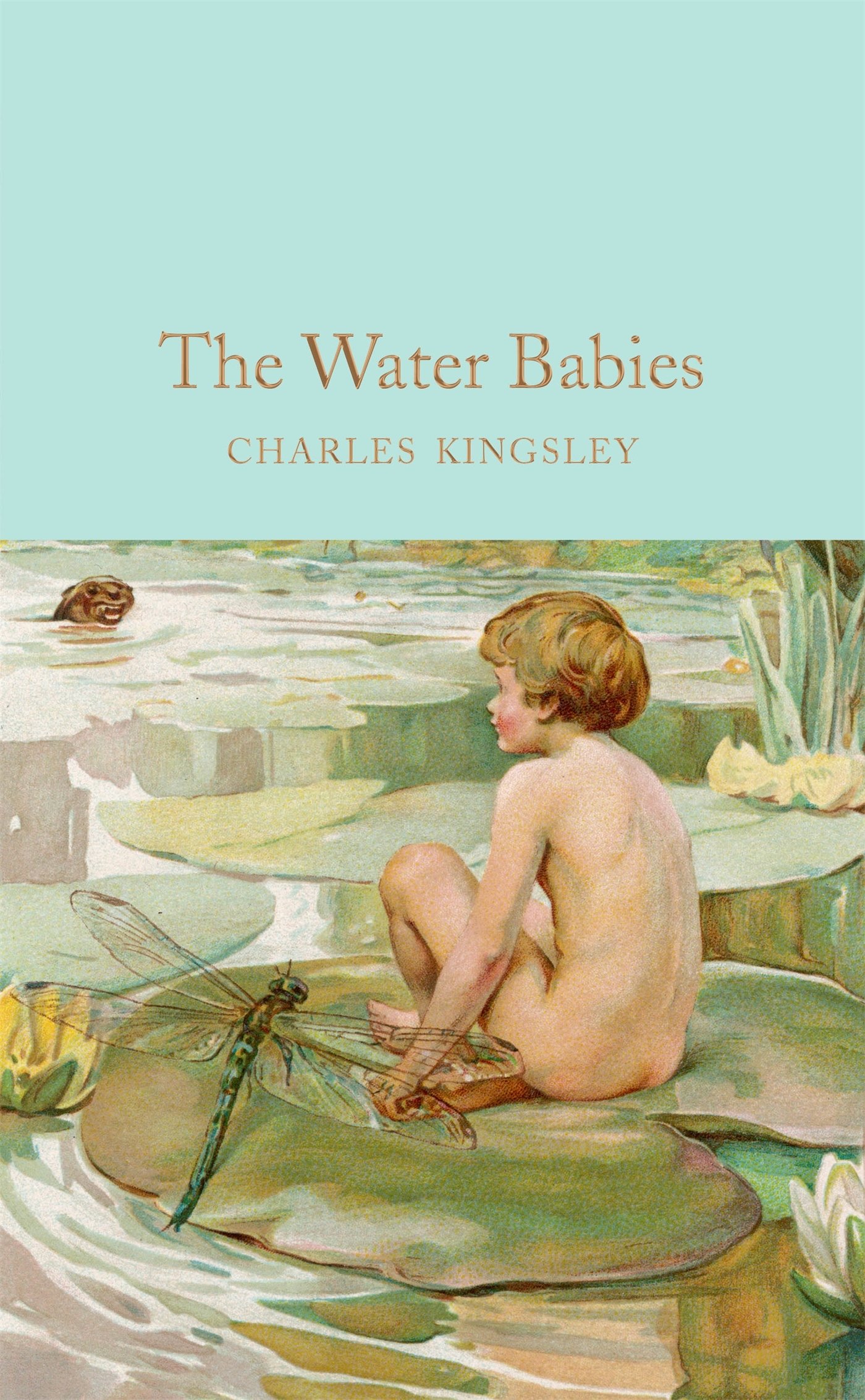 The Water Babies: A Fairy Tale for a Land Baby